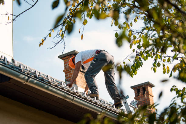 Best Roof Repair Services  in Ferguson, MO