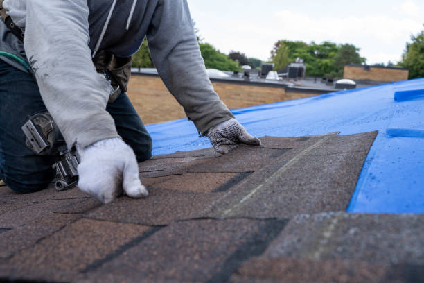 Best Metal Roofing Contractor  in Ferguson, MO