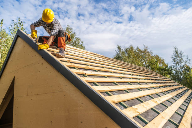 Roof Gutter Cleaning in Ferguson, MO