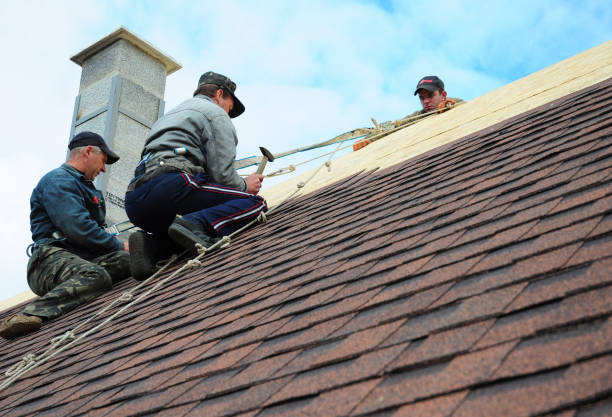Best Roofing Contractors for Homes  in Ferguson, MO