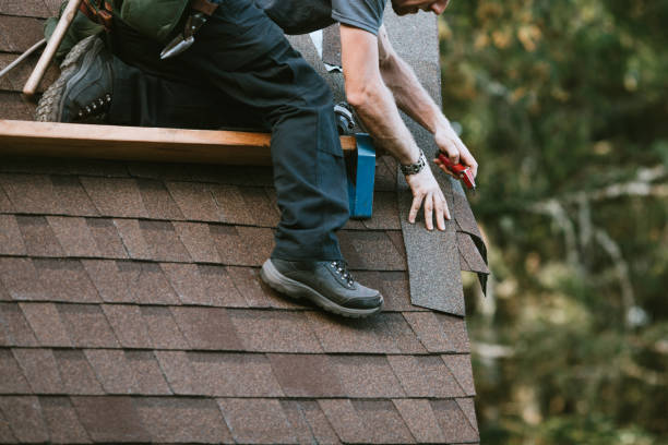 Best Roof Restoration Services  in Ferguson, MO